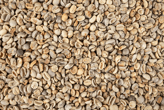 Mold in Coffee: The Mycotoxin and Mold Myth