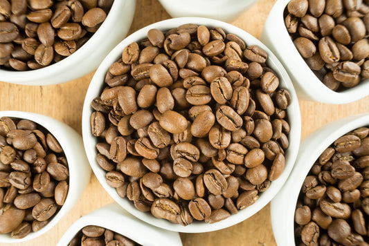 Best Coffee for Light Roast Lovers 2026: Our Top 10 Picks