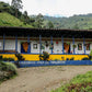 Colombia | Las Margaritas | Gesha Natural