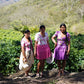 Bolivia | Floripondio | Batian Natural